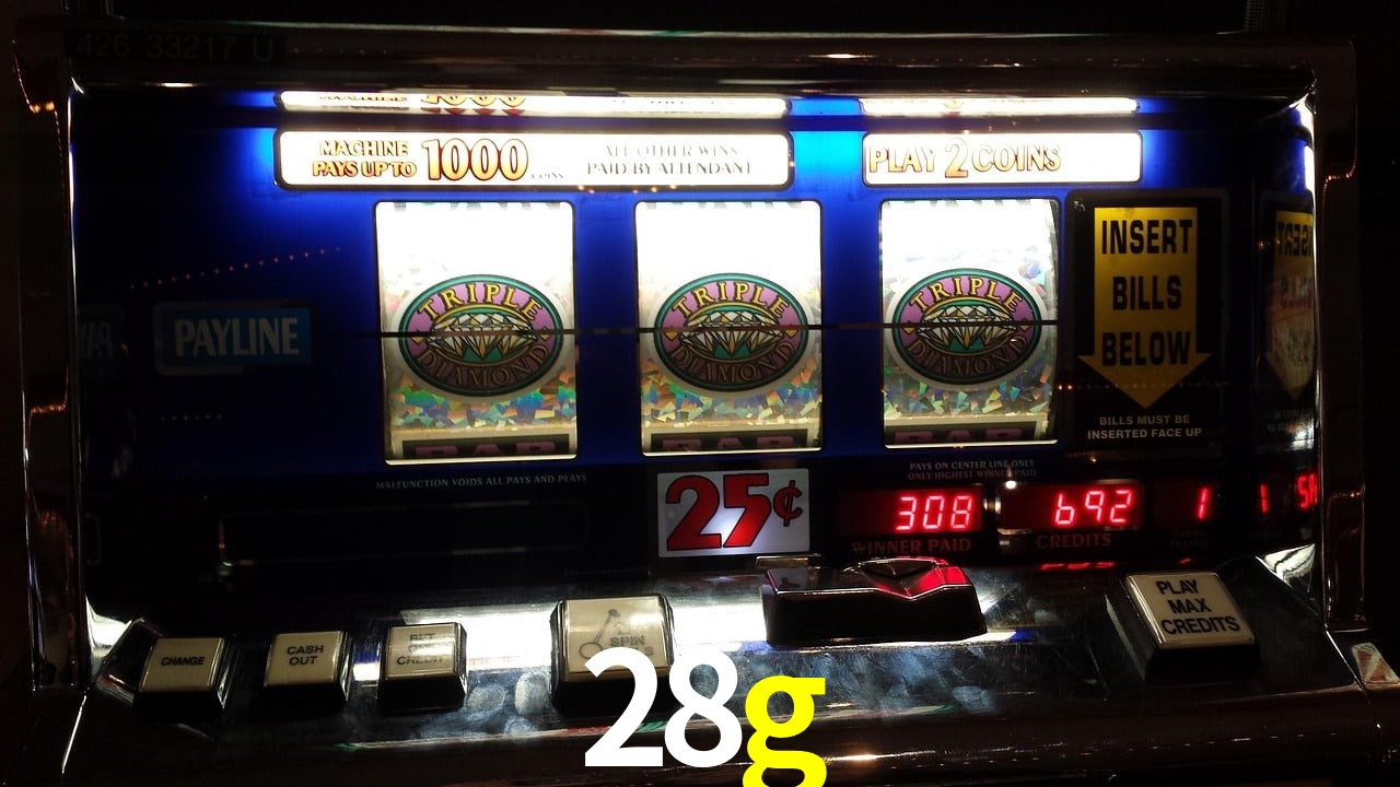 VIP Casino 28g